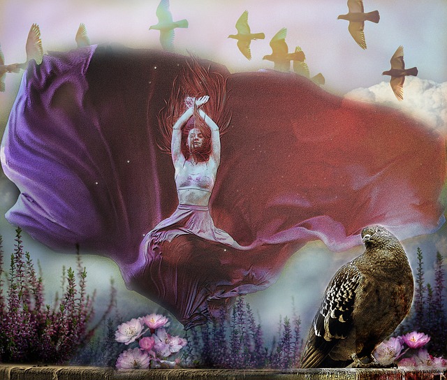 在他的执教 在他的执教