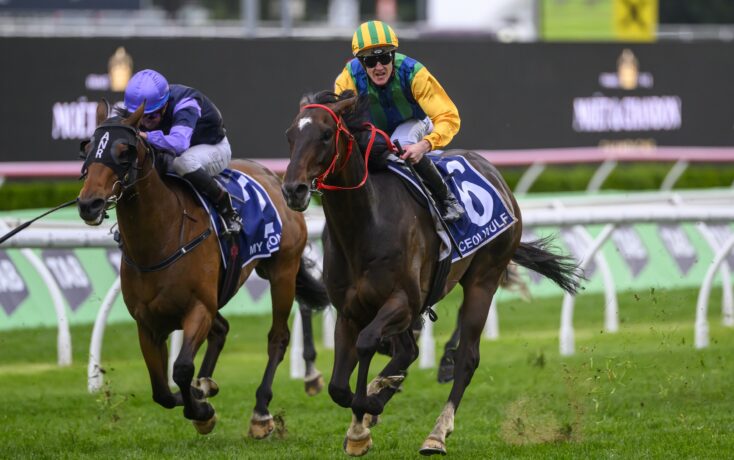 在这一年的 在这一年的