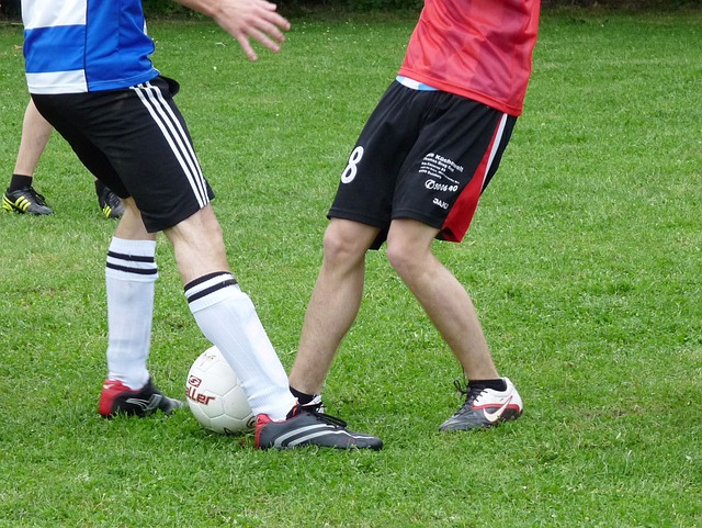 机制显得较 机制显得较