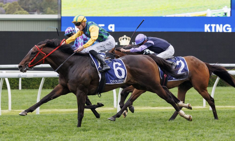 员的巅峰 员的巅峰